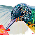  Hummer Face Daniel Adams 